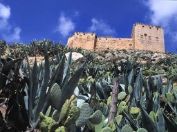 Mula Antigua serie-2